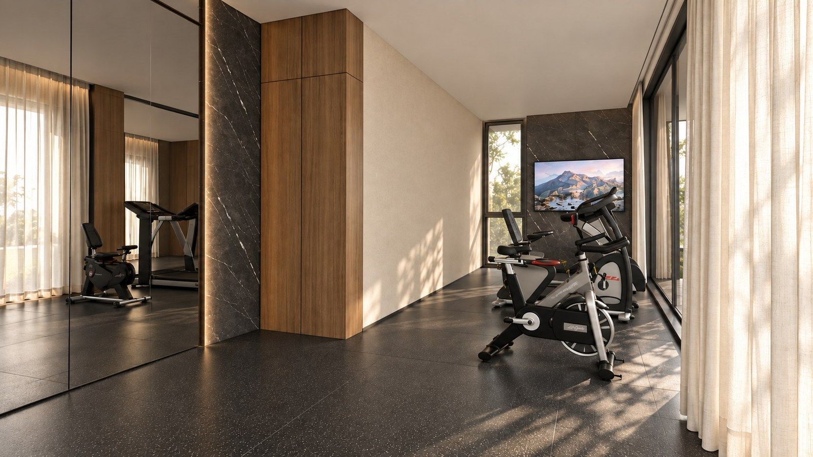 Gym cardio corner